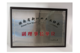 2009年湖南省新质料工业协会副理事长单位