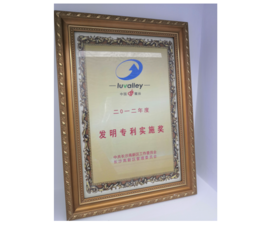 2012年2012年度发明专利实验奖