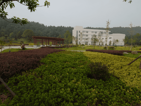 好博(中国)体育智能科技股份有限公司网站