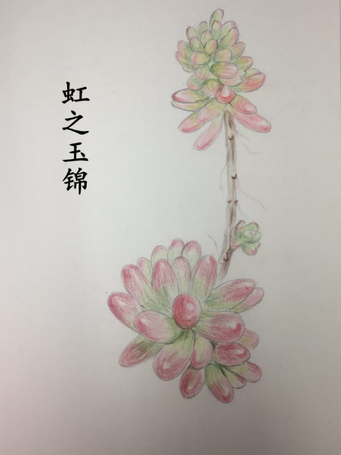 welcome-球速体育