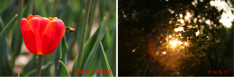 welcome-球速体育